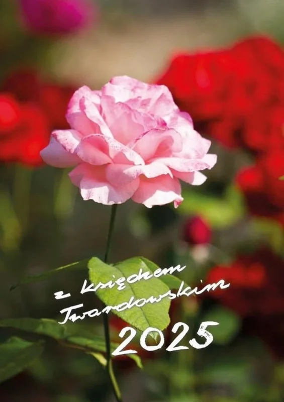 edukamp-320260612222930177511