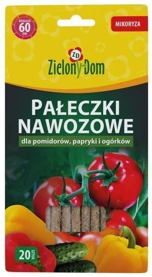 edukamp-320260613000648193755
