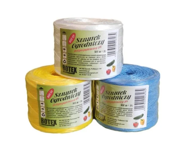 edukamp-320260613032724219173