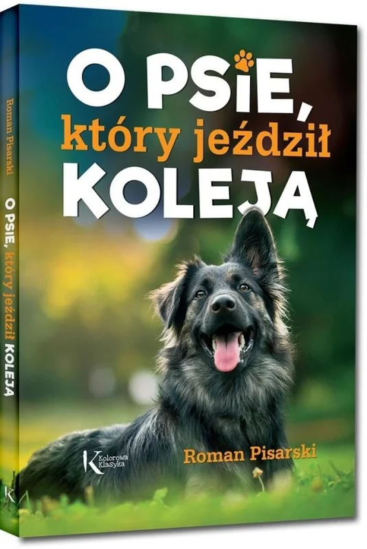 edukamp-320260613051354229821