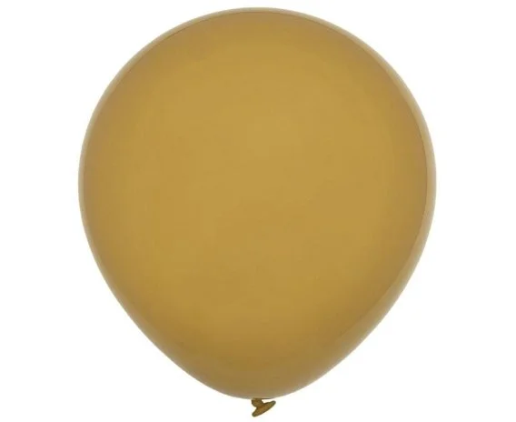 edukamp-320260613054854233097