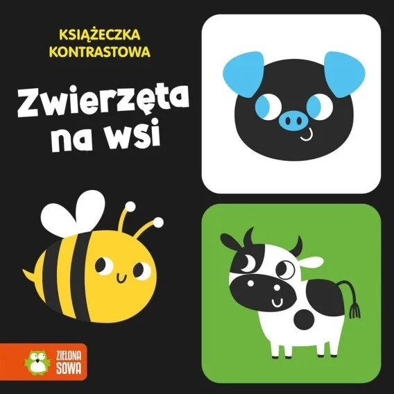 edukamp-4202606101154233544868