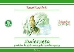 edukamp-4202606101259443556751