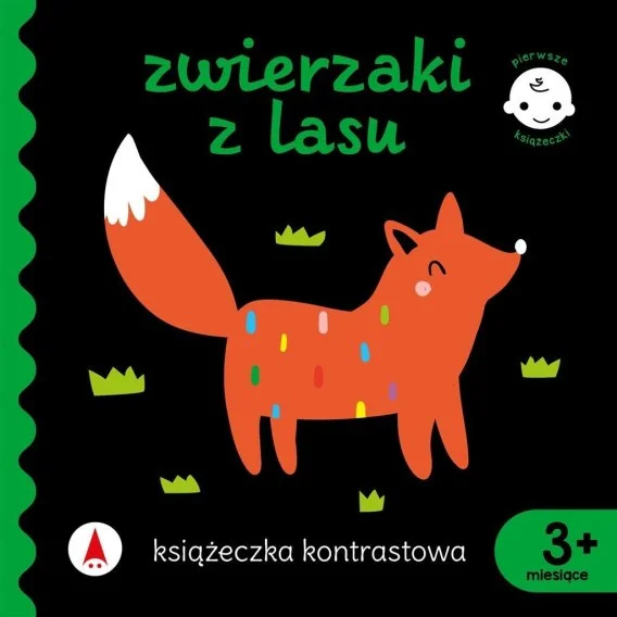 edukamp-4202606101840013612327