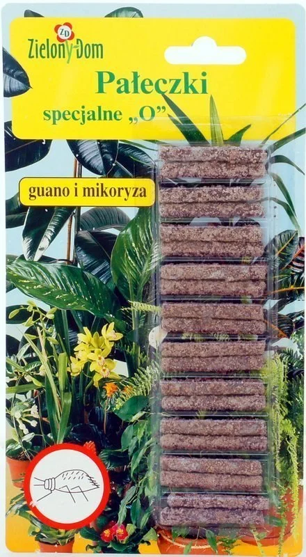 edukamp-4202606102006203623471