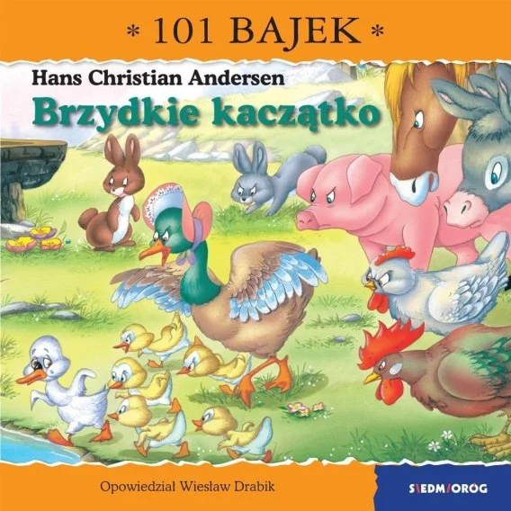 edukamp-4202606110245423648116