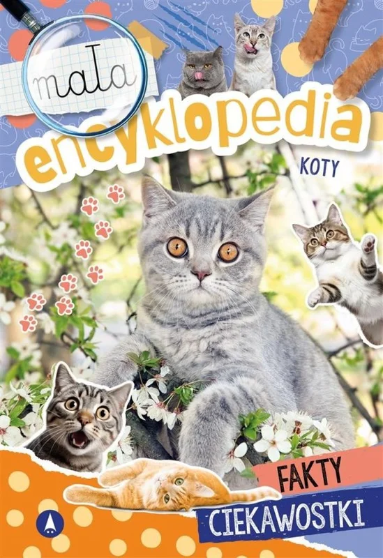 edukamp-4202606110817253668491
