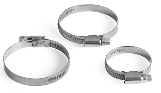 edukamp-42026061113105213446