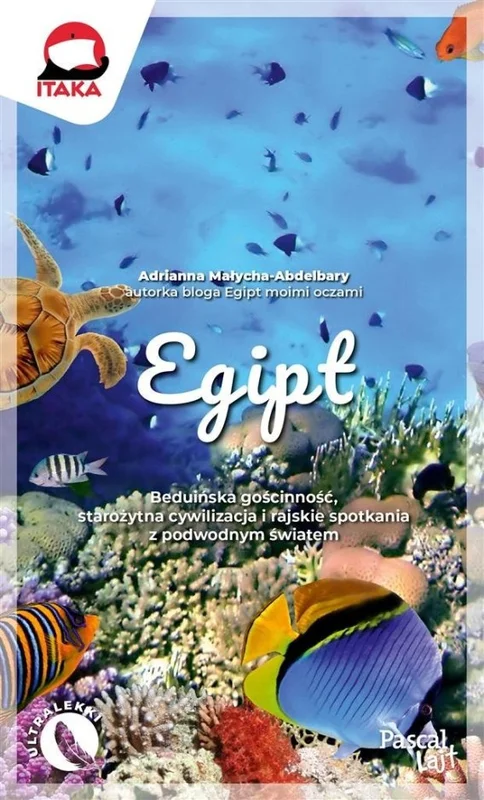 edukamp-42026061206494585791