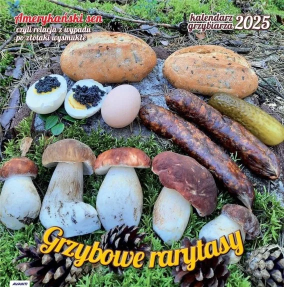 edukamp-42026061208494690950