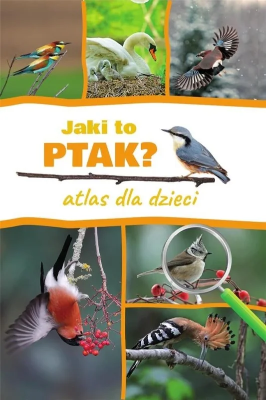 edukamp-420260612122904117162