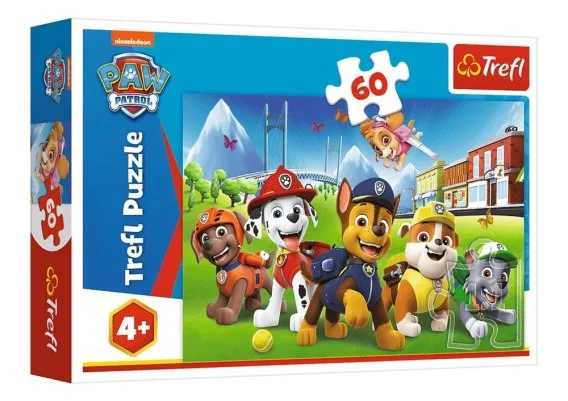 edukamp-420260612163319129708