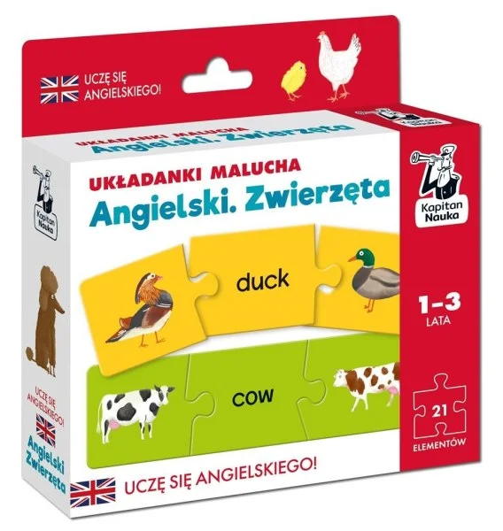 edukamp-420260612201942158872