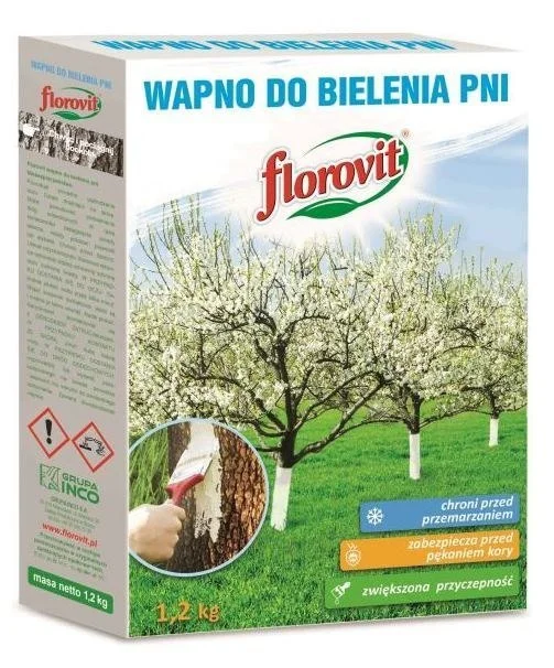 edukamp-420260612214303171618