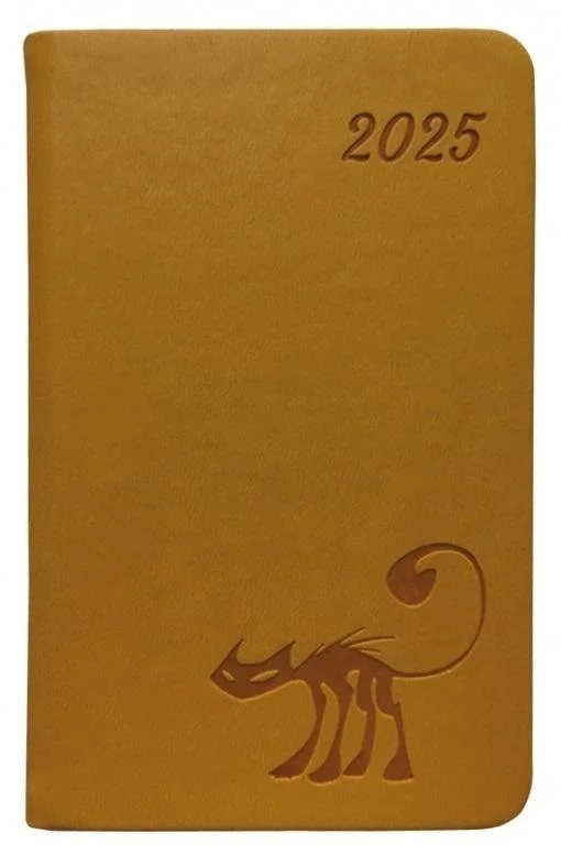 edukamp-420260612220056174246