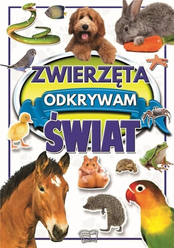 edukamp-420260612235753192320