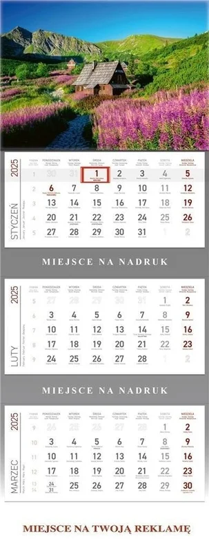 edukamp-420260613011903205404