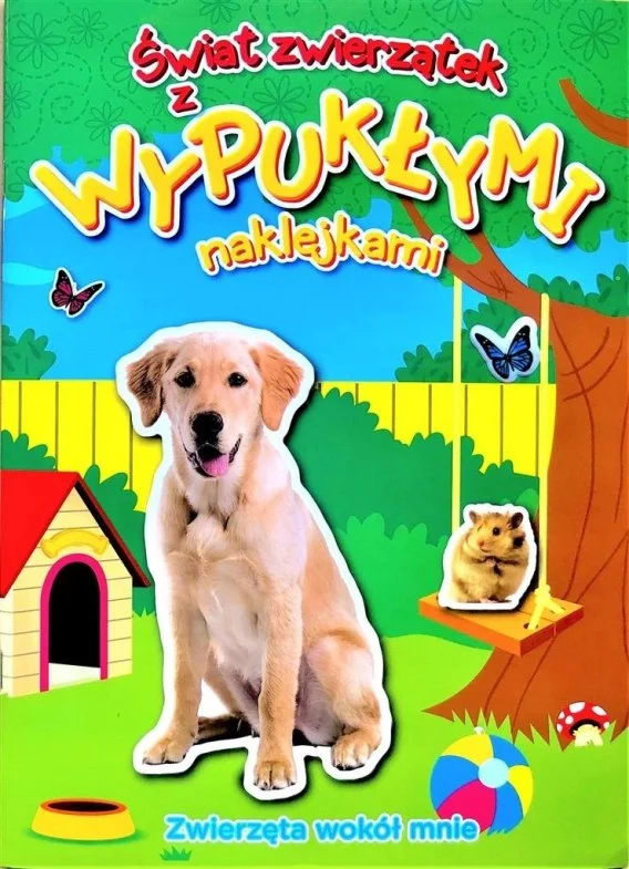 edukamp-420260613023121213072