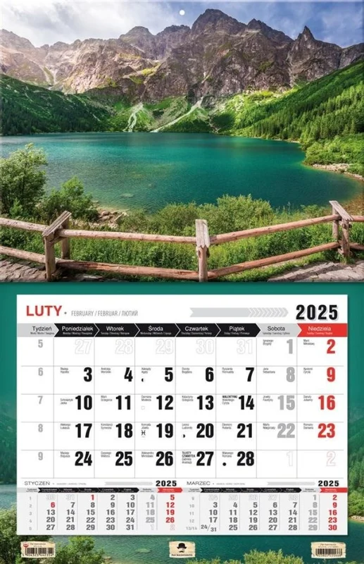 edukamp-420260613072852243333