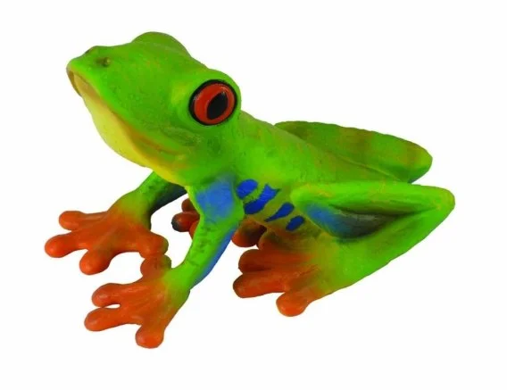 edukamp-420260613094400251597