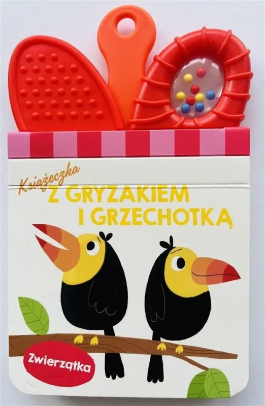 edukamp-420260613112905255372