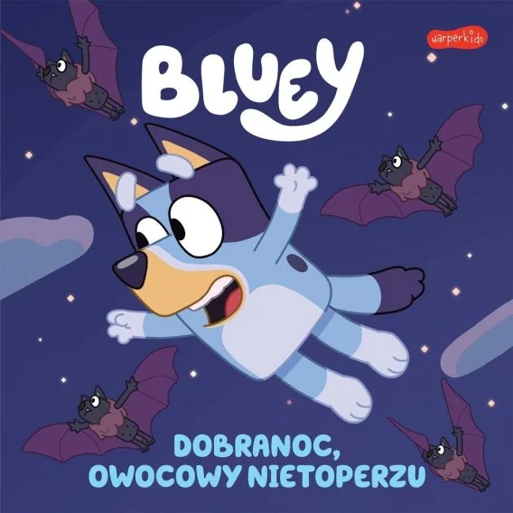 edukamp-420260613121253258311