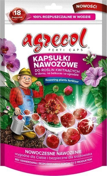 edukamp-420260613130022262755