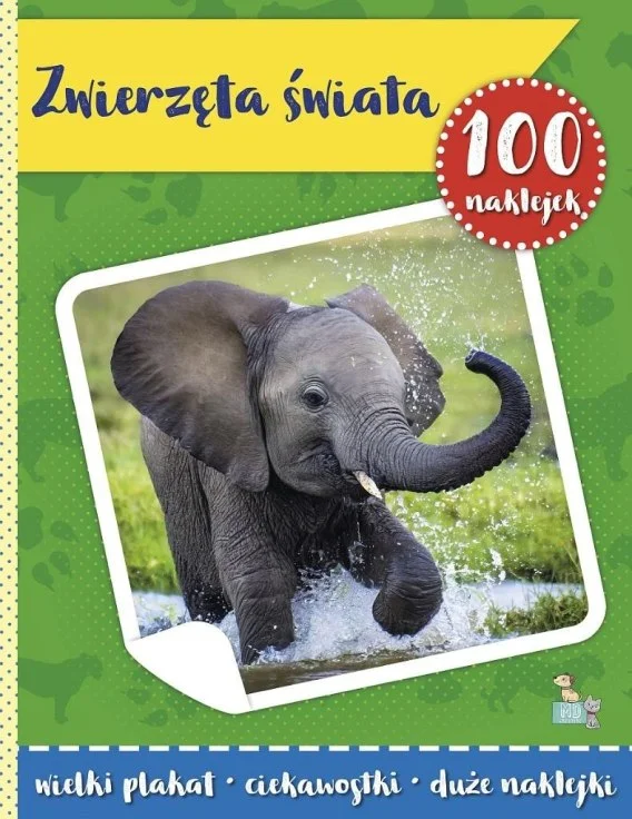 edukamp-420260613202713320044