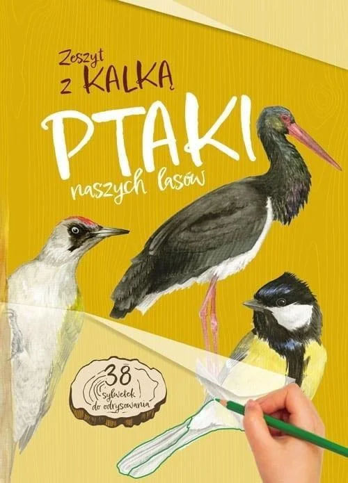 edukamp-420260614010420353581
