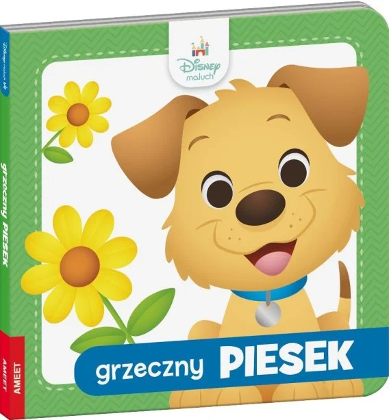 edukamp-420260614072219381483