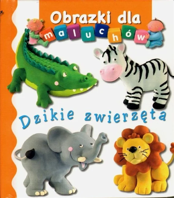 edukamp-420260614100335388231