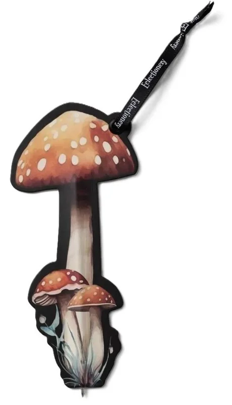 edukamp-420260614103615389709
