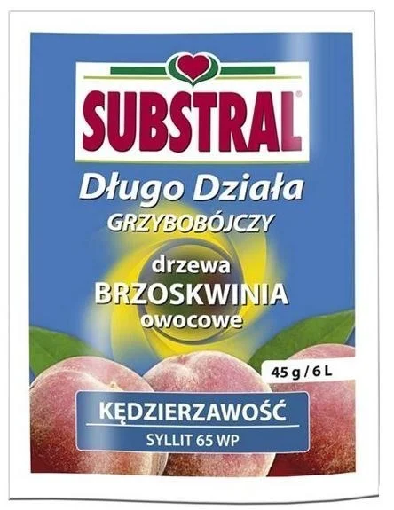 edukamp-420260614134628398421