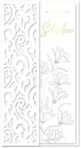 edukamp-420260614152154417797