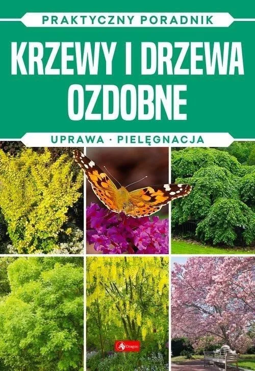 edukamp-420260615010449493417