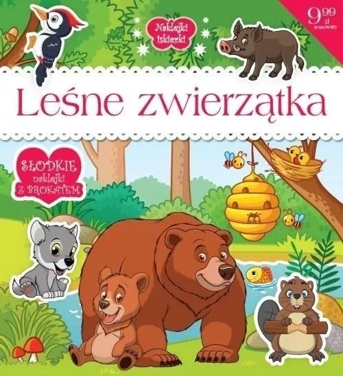 edukamp-420260615013251495032